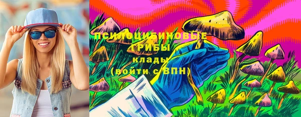 таблы Богородск