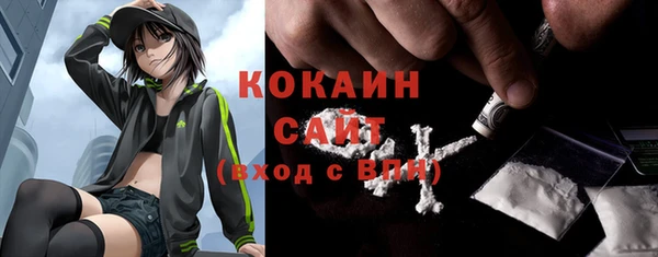 тгк Богородицк