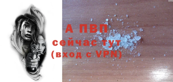 сатива Богданович
