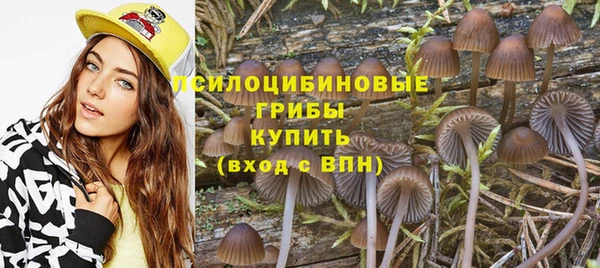 тгк Богородицк
