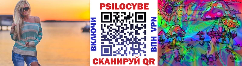 дарк нет телеграм Белоусово Галлюциногенные грибы Psilocybine cubensis